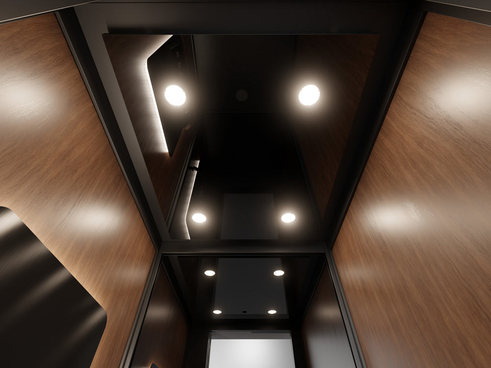 black_walnut_1